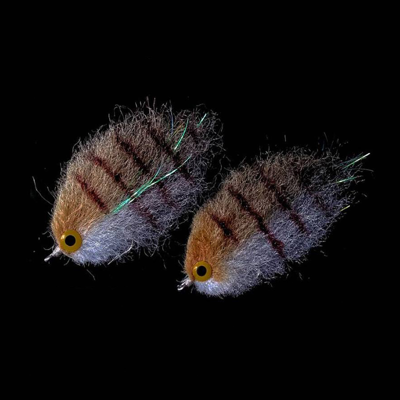 Stelle filanti in fibra setosa - Trout Fishing Lure recensione e prezzo